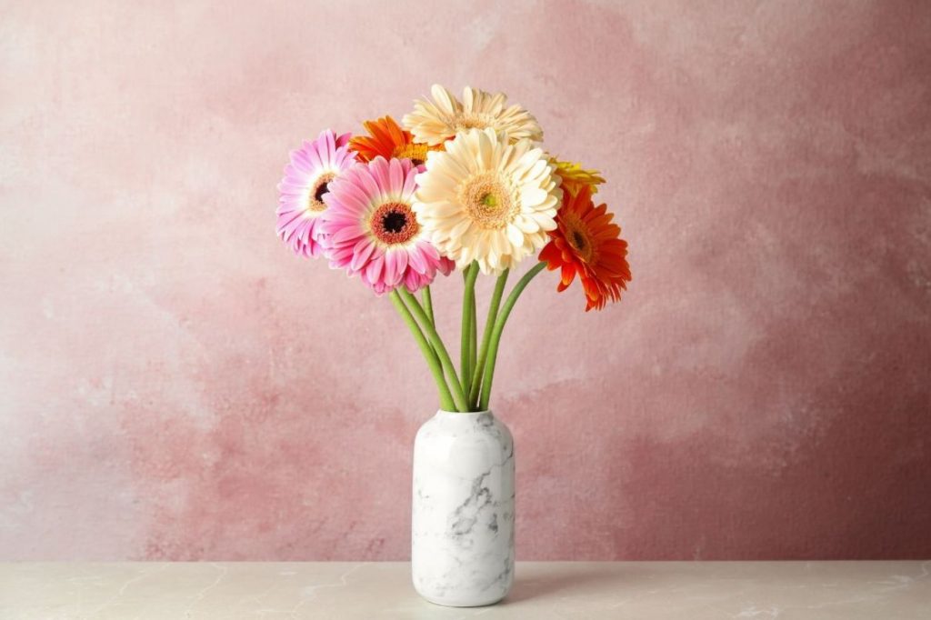 Cách cắm hoa đồng tiền sáng tạo và đẹp nhất