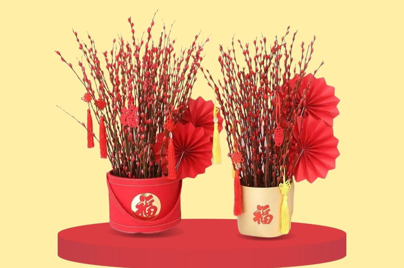 Nụ tầm xuân là gì? Cách cắm nụ tầm xuân trang trí ngày Tết đẹp