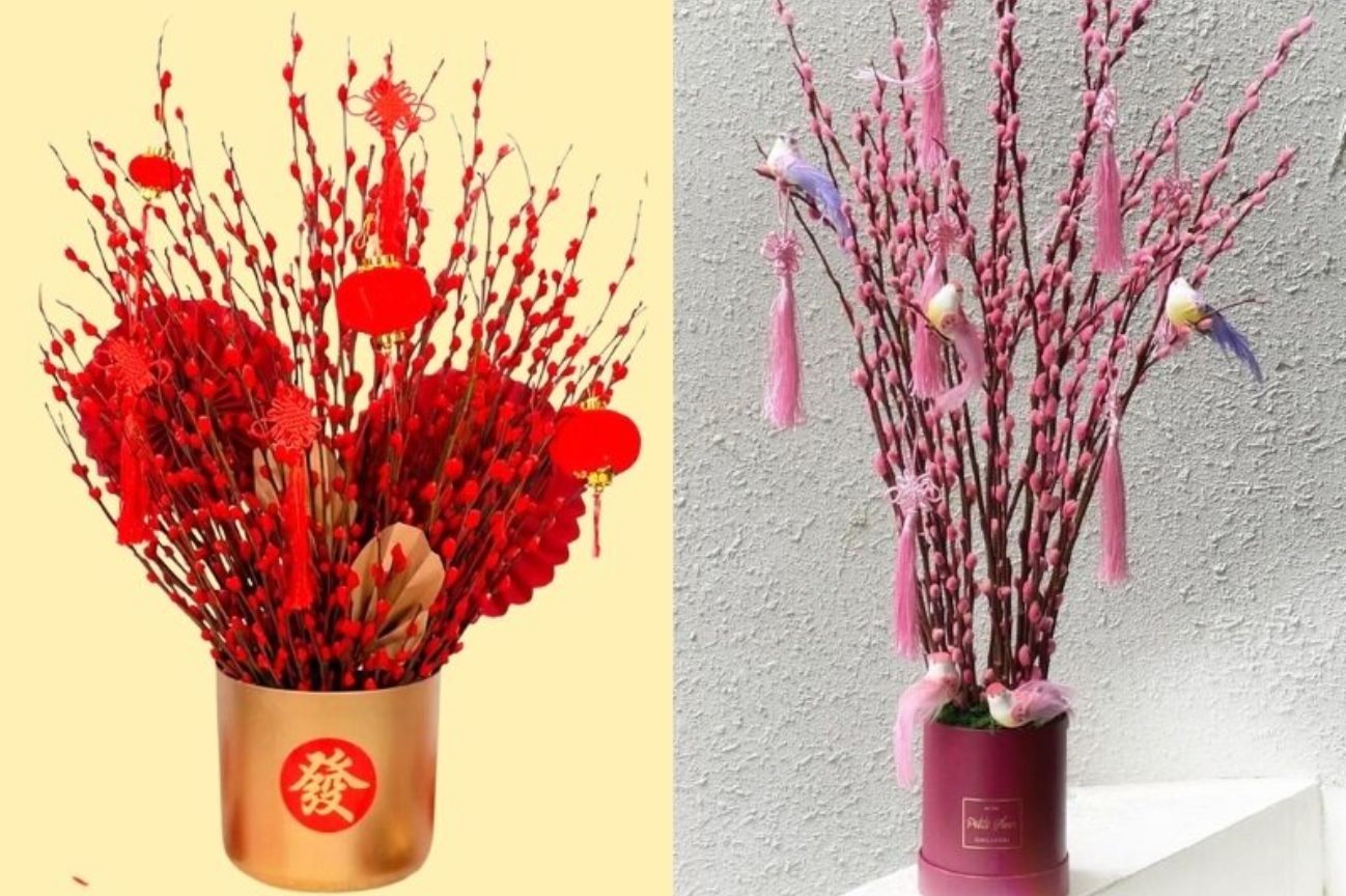 Nụ tầm xuân là gì? Cách cắm nụ tầm xuân trang trí ngày Tết đẹp