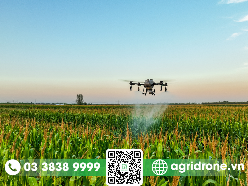 AgriDrone review máy bay phun thuốc DJI T25 mới nhất 8 Máy bay phun thuốc