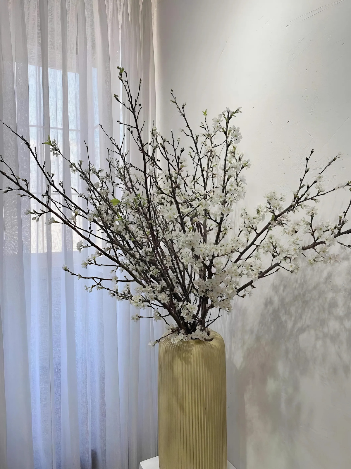 Cách giữ hoa tươi lâu