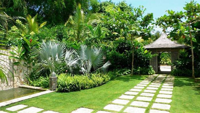 Tiểu Cảnh Thiên Mộc Đồng hành cùng xu hướng sân vườn xanh của người Việt