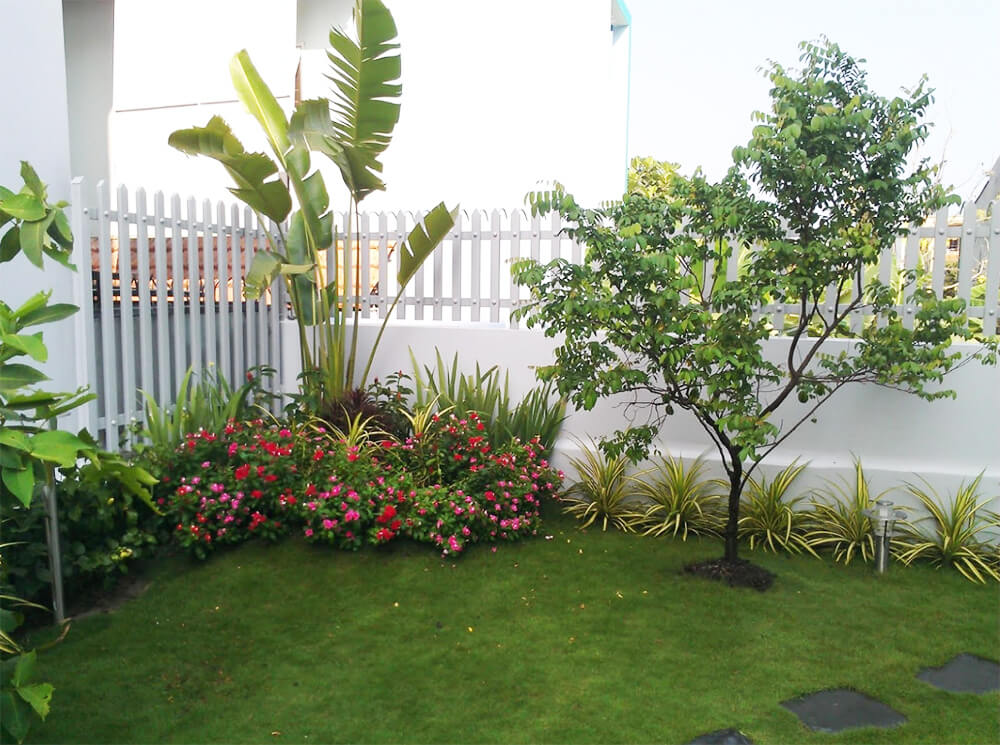 Tiểu Cảnh Thiên Mộc Đồng hành cùng xu hướng sân vườn xanh của người Việt