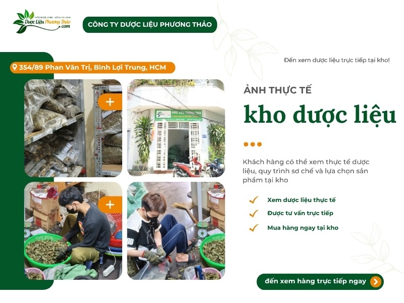 Dược Liệu Phương Thảo và hành trình đưa cây an xoa sạch đến gần người dùng Việt 3 Dược Liệu Phương Thảo và hành trình đưa cây an xoa sạch đến gần người dùng Việt