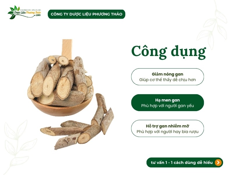 Dược Liệu Phương Thảo và hành trình đưa cây an xoa sạch đến gần người dùng Việt 1 Dược Liệu Phương Thảo và hành trình đưa cây an xoa sạch đến gần người dùng Việt